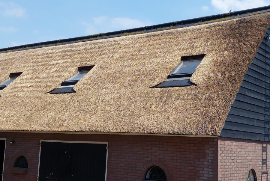 Schoonmaak, dakramen geplaatst & rietvernieuwing