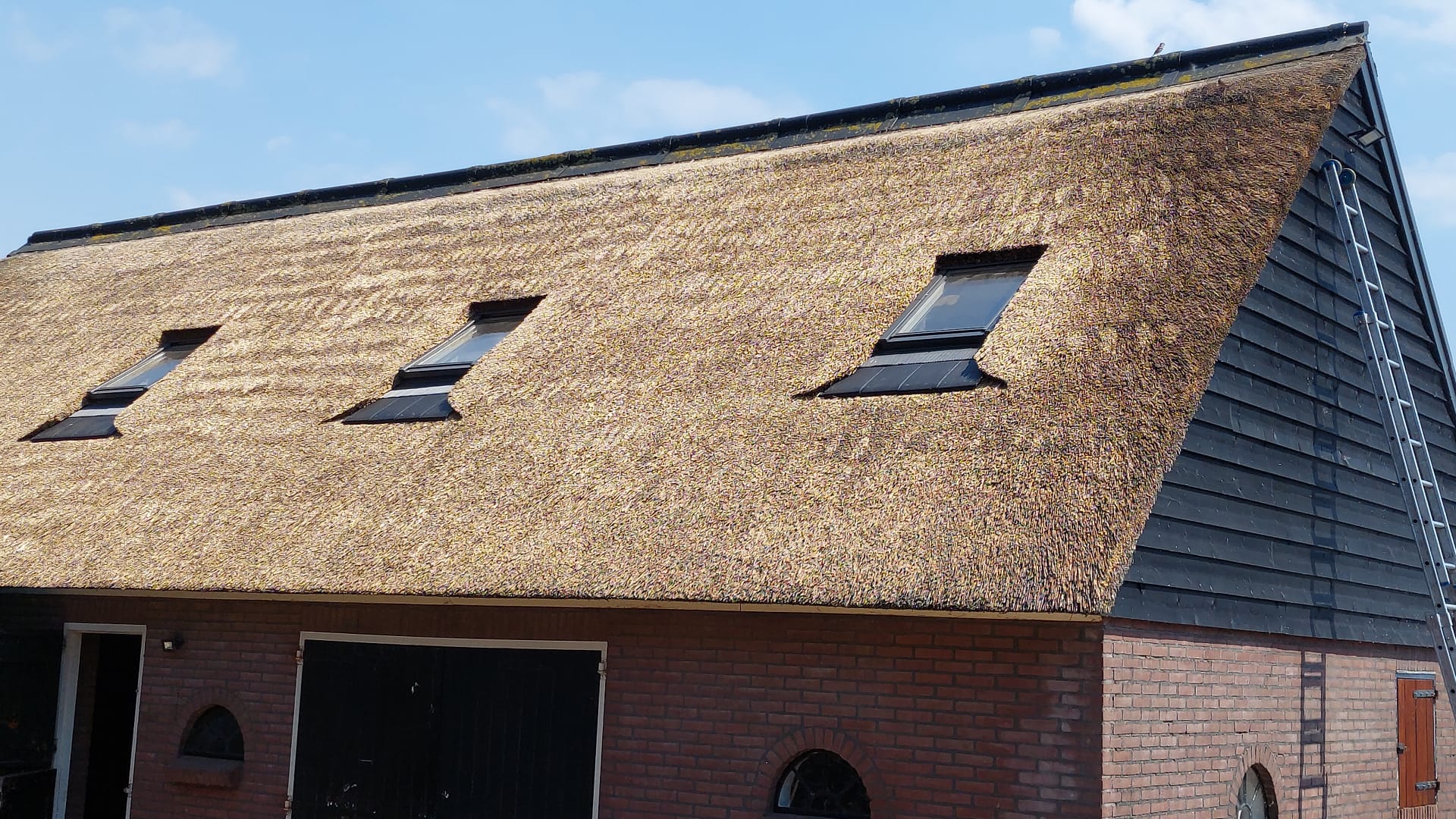 Schoonmaak, dakramen geplaatst & rietvernieuwing