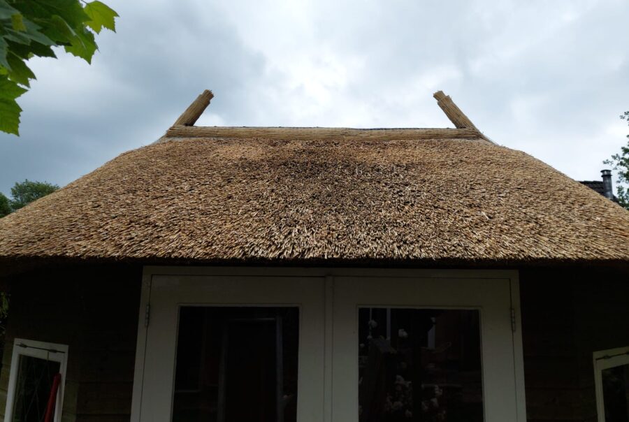 Tuinhuis met riet gedekt in Zuidwolde