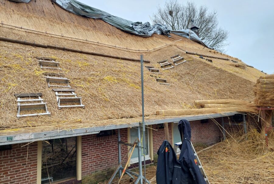 Nieuw riet te dekken in Veeningen