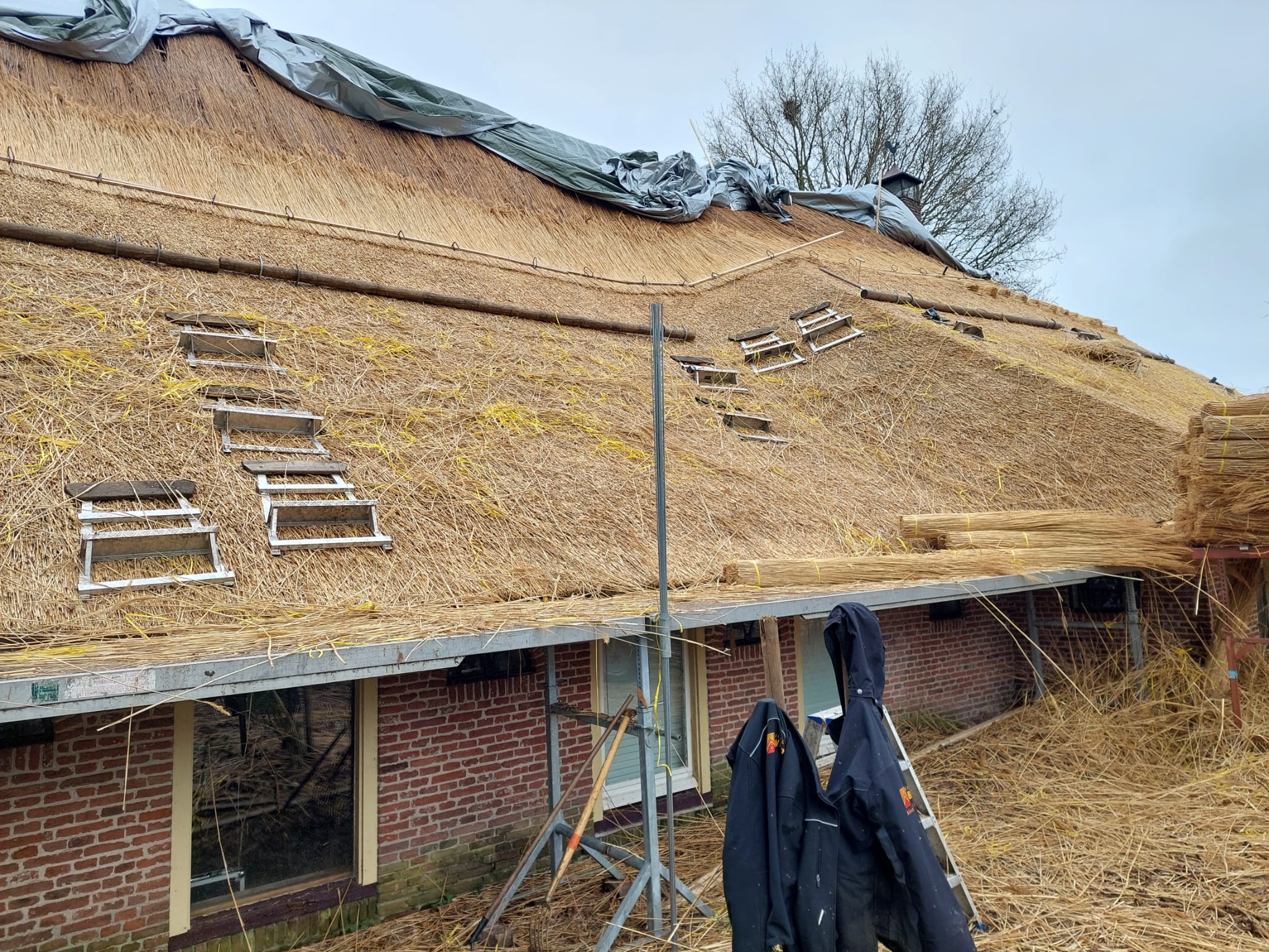Nieuw riet te dekken in Veeningen