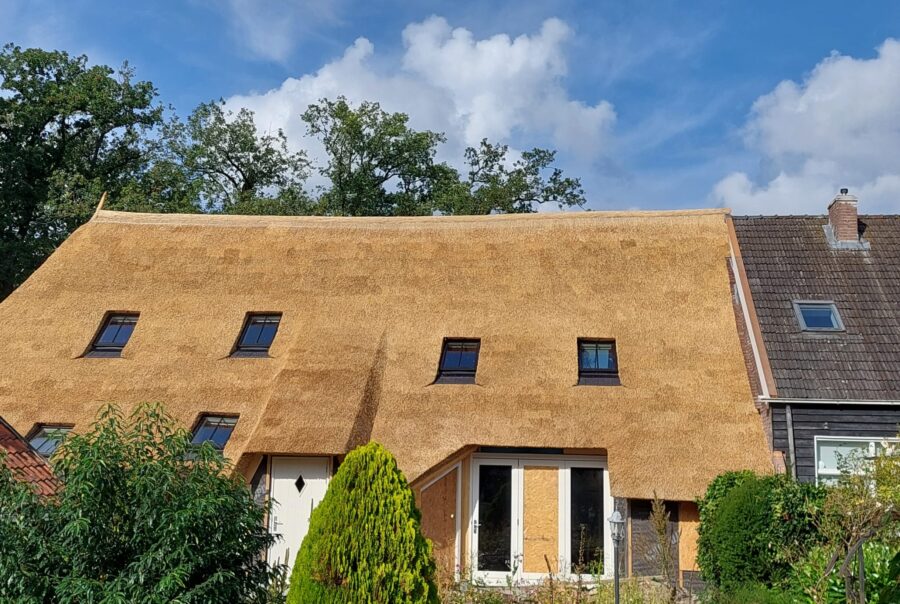 Nieuw riet gedekt in Havelte