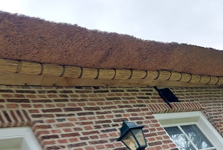 Rietrol geplaatst ten behoeve van knelling van het riet