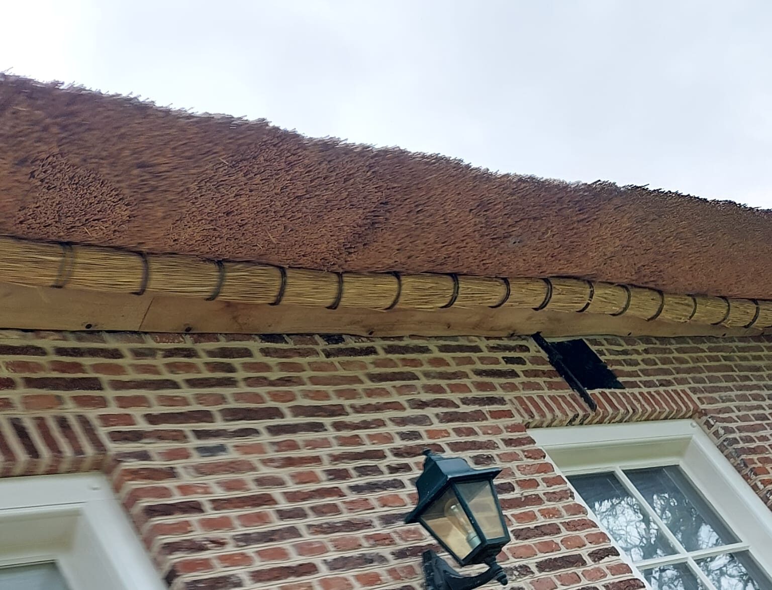 Rietrol geplaatst ten behoeve van knelling van het riet