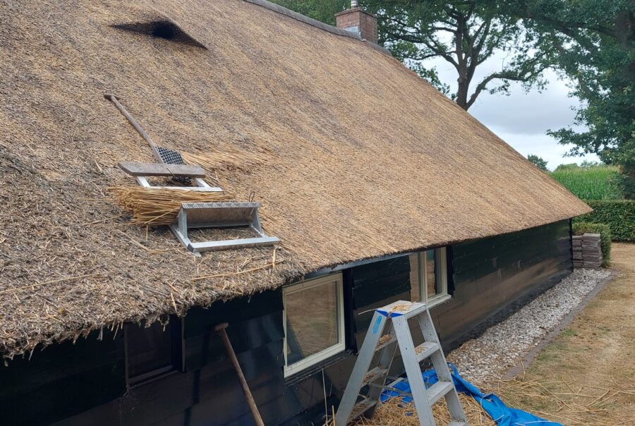 Schoonmaak en herstellen