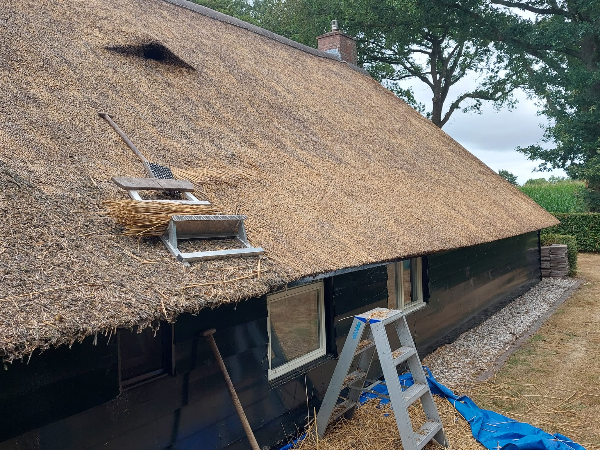 Schoonmaak en herstellen